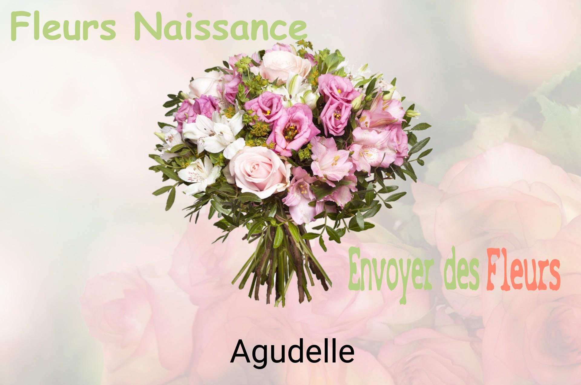 Bouquet de fleurs de naissance livré à Agudelle