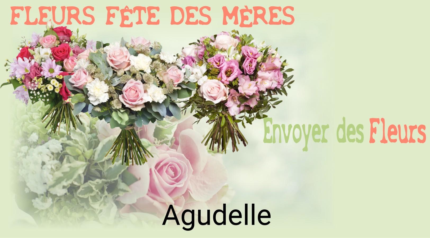 Bouquet de Fête des Mères livré à Agudelle